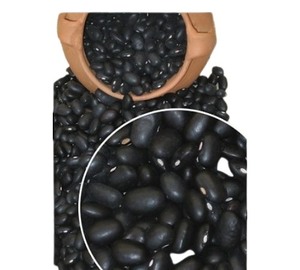 Venta Especial: Frijoles Negros Secos a Granel, 25 kg, de Bélgica - Product Image 1