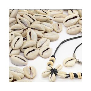 Petits cauris coquille de cauri de couleur naturelle à vendre coquilles de cauris blanches vides propres et séchées coquillages en gros 2024 - Product Image 1