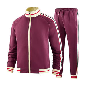 Conjunto deportivo para hombre, chaqueta con cremallera de poliéster, pantalones ligeros y transpirables, ropa deportiva. - Product Image 2
