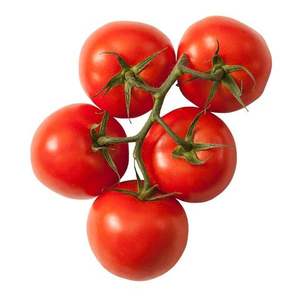 มะเขือเทศเชอร์รี่พลัมออร์แกนิกสดใหม่ ขายดี คุณภาพสูง สำหรับส่งออกจากฝรั่งเศส มีจำหน่ายแล้ว - Product Image 1
