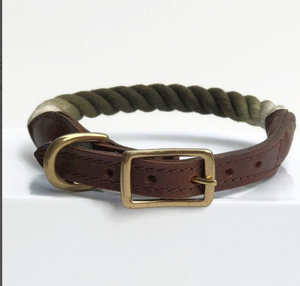 Collier de chien en cuir vert de haute qualité pour lévrier et Whippet - Product Image 1