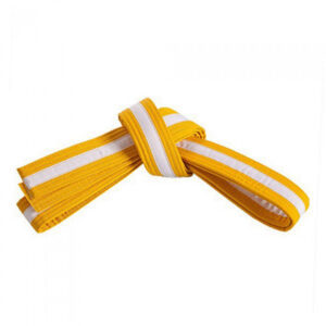 Ceintures de rangement pour Jiu-Jitsu Brésilien (BJJ) personnalisées, style professionnel, unisexe adulte, 100% coton, ceintures BJJ de haute qualité pour les arts martiaux - Product Image 5