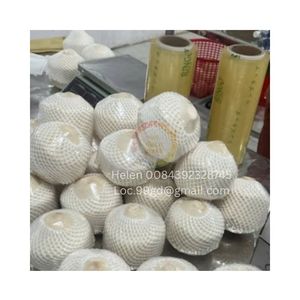 VIETNAM MÁS VENTA JOVEN COCO SUPER FRESCO VERDE JOVEN COCO LLENO DE AGUA DIAMANTE CORTE XIEM COCO PRECIO AL POR MAYOR - Product Image 6