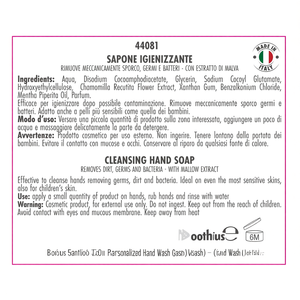 Sapone Igienizzante Boethius 500ml, Gadget Personalizzato per il Lavaggio delle Mani - Product Image 3
