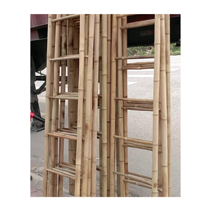 Artisanal Seagrass <b>Bamboo</b> <b>Ladder</b> - <b>Bamboo</b> <b>Ladder</b> for Stylish Living Spaces With Best Price From 99 GD - Product Image 1