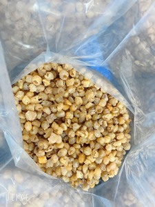 เวียดนามสำหรับการส่งออกที่มีคุณภาพสูงอินทรีย์หวานและสดแห้งลำไยผลไม้ธรรมชาติลำไยเยื่อกระดาษที่มีราคาที่ดี - Product Image 3