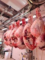 Graisse de queue d'agneau halal surgelée, viande fraîche 100% naturelle, procédé IQF, origine USA, qualité A, faible teneur en sucre, sans sucre ajouté, boîte de 10 kg