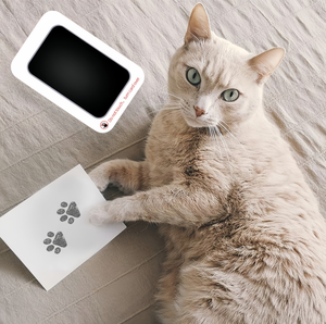 Kit de tampon encreur moderne pour empreintes de pattes d'animaux de compagnie, sans lavage, contact propre, ensemble de souvenirs, matériau plastique - Product Image 2