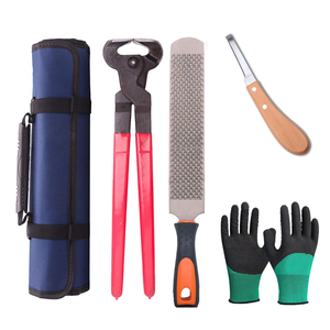 Kits d'instruments vétérinaires en acier au carbone de haute qualité comprenant des couteaux à sabot pinces à sabot gants en cuir PU sacs à outils de manucure - Product Image 1