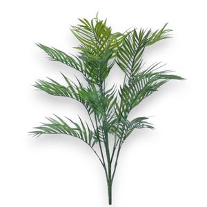 ต้นปาล์มอะรีกาเทียม - Product Image 1