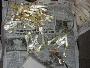 Cuillères en coquillage du Vietnam, faites à la main, polies, écologiques, pour servir les épices et les œufs de poisson, style animal - Product Image 3