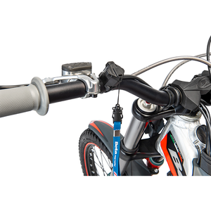 2024 เบต้า อีโว 300 - Product Image 6