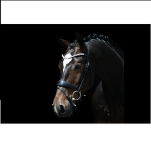 Hot Multi Couleur En Cuir Véritable Cheval Bride Taille Pleine En Gros nouvelle Haute Qualité Cheval Snaffle Bride En Cuir En Top Noir - Product Image 4