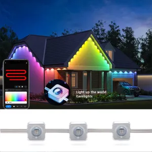 RGB LED ติดตามจุดไฟพัคปาร์ตี้แสงวันหยุดภูมิทัศน์ตกแต่งกลางแจ้ง DC36v คริสต์มาสไฟ LED กลางแจ้ง