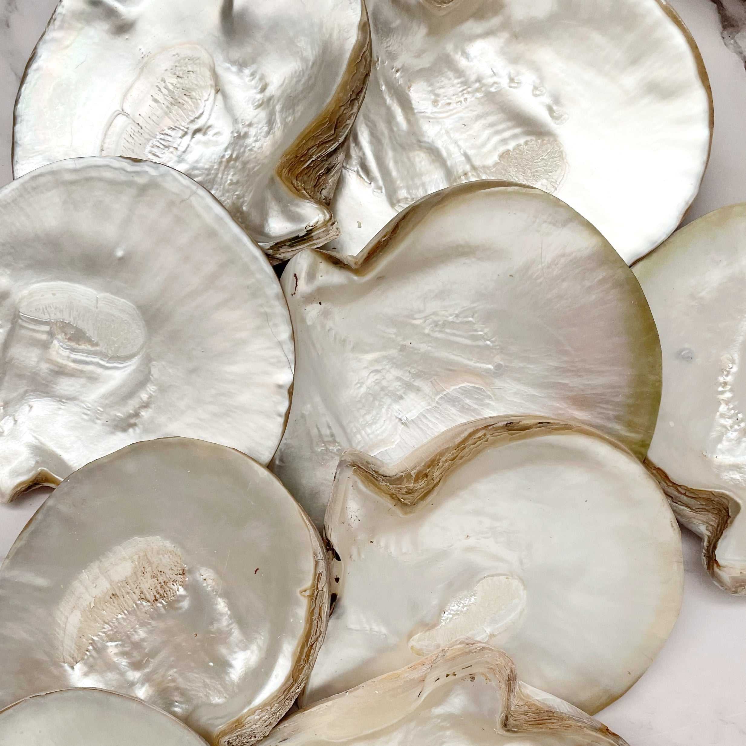 ธรรมชาติ