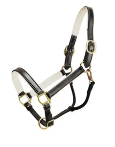 Nouvelle bride pour cheval en acier inoxydable et cuir personnalisée / Meilleures brides pour cheval ajustables, élégantes et confortables par ARMANDIOU - Product Image 1