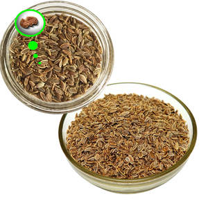 Eneldo | Auténtica hierba de sabor para la innovación alimentaria - Product Image 1