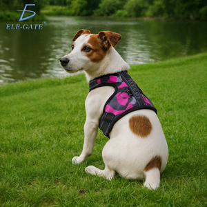 Arnés Ajustable de Lujo para Perros, Transpirable, Personalizado, Hecho de Nailon y Poliéster para Perros Pequeños, Medianos y XL, para Paseos al Aire Libre - Product Image 1