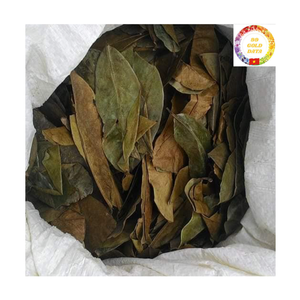 Proveedor de Vietnam de Hojas de Guanábana Secas al por Mayor, Té Natural de Hoja de Graviola - Product Image 4