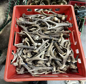 Cuernos de Ganado Naturales de Primera Calidad para Masticar por Mascotas, Manualidades, Decoración del Hogar, Larga Vida Útil, Almacenamiento en Seco y Fresco - Product Image 2