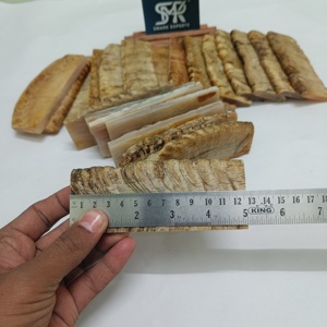 Placas de escala de cuerno de carnero y oveja Material natural duradero para manijas de cuchillos hechas a mano de primera calidad y proyectos de artesanía personalizados - Product Image 5