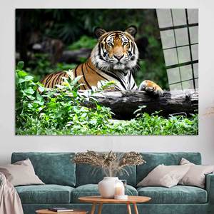 Lienzo Impreso: Arte Majestuoso de Animales del Bosque, Arte en Vidrio Templado - Product Image 1