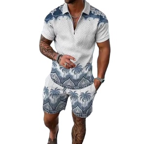 Ensemble 2 pièces polo décontracté et confortable pour homme, multicolore, tendance été, vente en gros personnalisée, diverses couleurs - Product Image 1