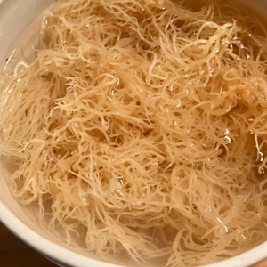 Premium Vietnamese Sea <b>Moss</b> Gel | Pure Irish <b>Moss</b> Drink Gel at Bulk Discount Prices/ Ms. Jessi - Product Image 1