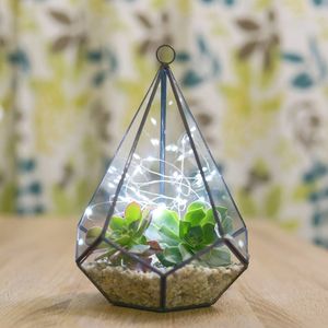 Terrarium en métal grand boîtier décoratif de table pour plantes d'air intérieur fleurs et mousse adapté aux intérieurs élégants - Product Image 6
