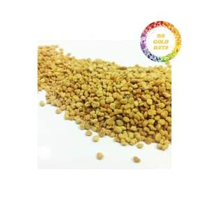 Gránulos de Polen de Abeja de Granjas Naturales en Vietnam Ofrecidos para Exportación, Suministro y Cooperación a Largo Plazo - Product Image 4