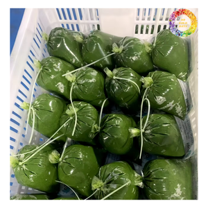 Hojas de yuca picadas congeladas, hoja de yuca de primera calidad, proceso IQF congelado, hoja de tapioca triturada congelada natural de Vietnam - Product Image 4