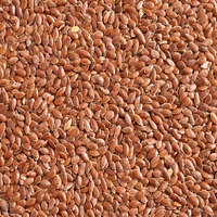 Graines de lin sauvage de qualité alimentaire au prix de gros auprès d'un exportateur indien