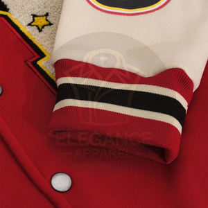2025 hecho a medida nueva llegada College Letterman béisbol Varsity chaqueta OEM Street Rush lienzo soporte contraste Color Patchwork - Product Image 4