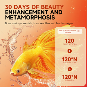 อาหารปลาโปรตีนสูงจากโรงงาน YEE ขายส่ง อาหารปลาหนอนเลือดแช่แข็งอบแห้งจากธรรมชาติ - Product Image 5