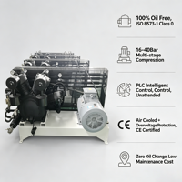 Compresseur d'air industriel sans huile à haute pression à mouvement alternatif 16 bars 20 bars 30 bars à entraînement électrique