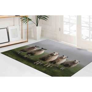 พรมแกะพิมพ์ลาย 3 มิติ: ของตกแต่งบ้านสไตล์ฟาร์มเฮาส์ พรมรูปสัตว์ พรมขนนุ่ม - Product Image 4