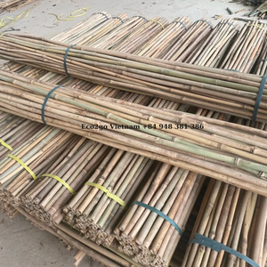 ¡Bambú natural 2025! Bastones de estacas de bambú/Estacas de bambú de 5 pies/Venta de bastones de bambú hechos en Vietnam - Product Image 4