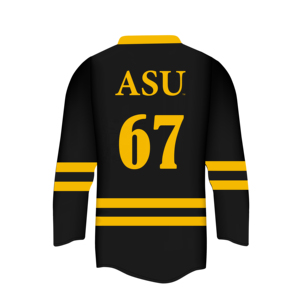 <b>Top</b> Trending Custom Made Ice Hokey Jersey Long Sleeve Ice Hockey Jersey for Team Supplier From Pakistan - Product Image 6