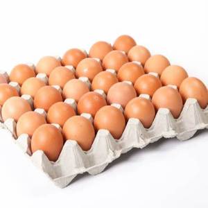 Œufs frais de poules de chair et de ponte de fournisseur américain, prix ferme, œufs de table en stock, 100 % œufs à couver pour l'exportation, durée de conservation de 12 mois - Product Image 6