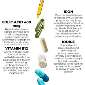 Complément Alimentaire Acide Folique NH 250mg 90 Capsules RedMoringa OEM Marque Privée Fabriqué en Italie Produit d'Hygiène Féminine - Product Image 3