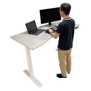 FlexiDesk FLD003 Minimalist Design Plywood Lifting Table with 2-Joint <b>Electric</b> Adjustment Concrete Color - Product Image 2