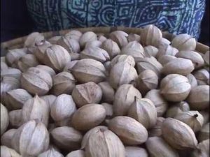Prix de gros des noix de hickory de Chine, noix de hickory séchées, en-cas, noix de hickory brutes à vendre - Product Image 2