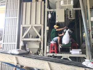 Venta de comida de patrón largo y corto seco de arroz integral Basmati producido en fábrica vietnamita - Product Image 5