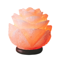 Lampe de sel de l'Himalaya en forme de fleur, dernière collection 2025, écologique, fabriquée à la main, lampe de bureau avec un savoir-faire de haute qualité