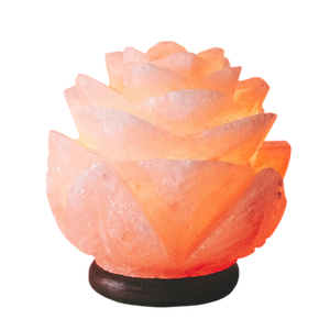 2025 última forma de flor USB lámpara de sal del Himalaya Luz de escritorio viral única con artesanía de buena calidad - Product Image 1