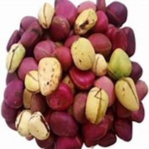 Garcinia kola sain Noix de cajou crues et séchées Noix de kola amère - Product Image 3