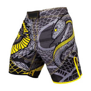 Pantalones cortos de baloncesto de verano BSCI-Pantalones cortos ligeros y duraderos para entrenamiento y juegos de verano - Product Image 3