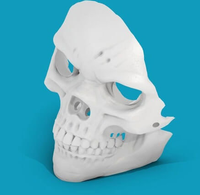 Prototype rapide Impression 3D Traitement personnalisé Service OEM Modèle d'information médicale avec sablage