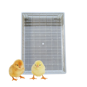 Piso de listón de plástico para aves de corral, buen precio, nuevo diseño para equipos de cría de aves de corral de pato, personalización hecha en Vietnam, fabricante - Product Image 4