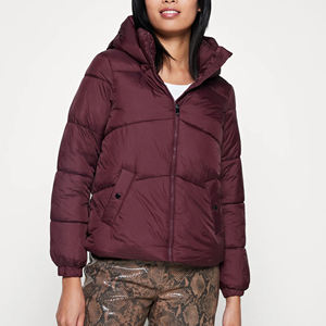 Veste matelassée en coton matelassé, coupe-vent, doudoune d'hiver, rembourrée avec fermeture éclair pour hommes, à capuche, épaisse et chaude pour femmes - Product Image 2